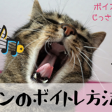 基本のボイトレ方法と手順その１