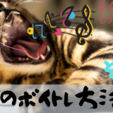 基本のボイトレ方法と手順その２